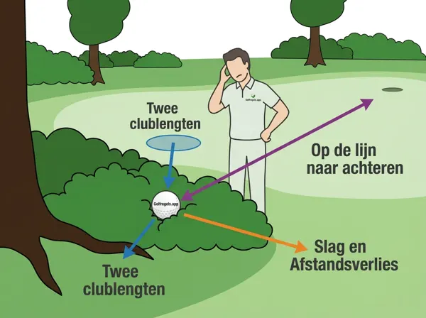 Onspeelbare Bal (Regel 19)