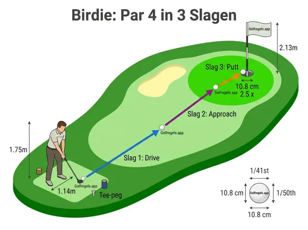 Illustratie bij Birdie